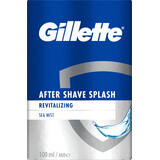 Gillette Schiuma dopobarba, 100 ml