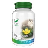 Damiana, 60 Kapseln, Pro Natura