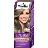 Palette Intensieve Kleur Creme Permanent haarkleuring 8-1 Lichtgrijs Blond, 1 st