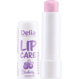 Lip balm with Blueberry flavour, 4.9 g, Delia