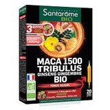 Maca 1500 Tribulus Ginseng & Gingimbre Bio, 20 ampoules, Santarome