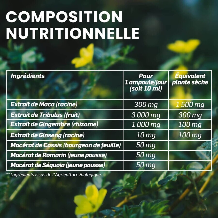 Maca 1500 Tribulus, 20 fiale, Santarome