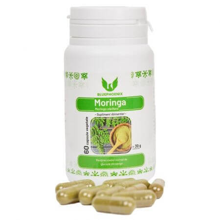 Moringa, 60 gélules, Blue Pheonix