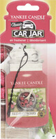 Yankee Candle Framboos Auto verfrisser, 1 st