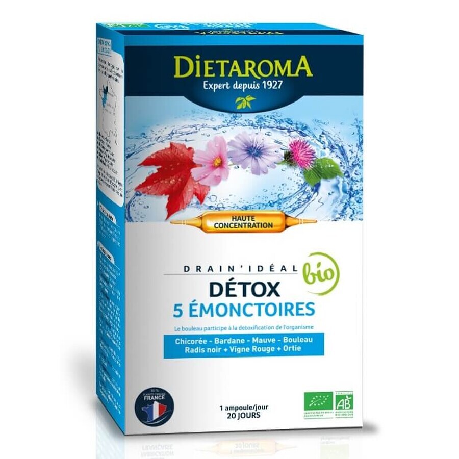 Drain Ideal, 20 flesjes, Dietaroma Laboratories