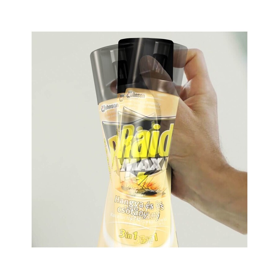 Raid Spray contro scarafaggi, 300 ml