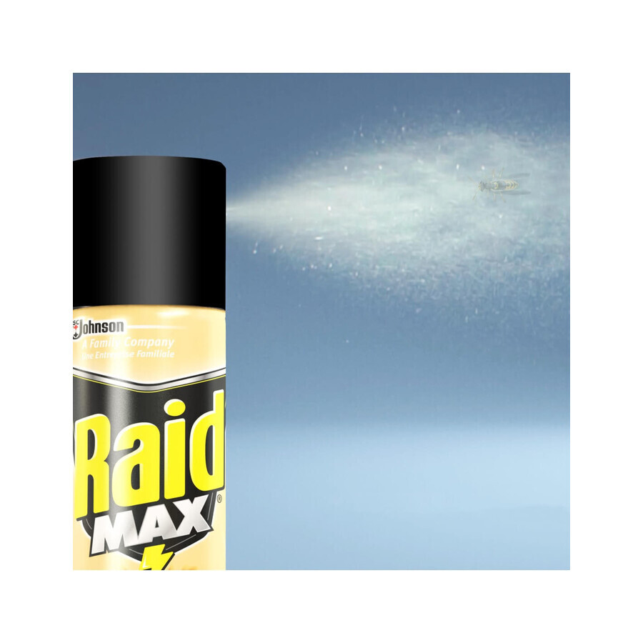 Raid Spray contro scarafaggi, 300 ml