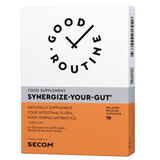 Synergize Your Gut Good Routine, 10 vegetarian capsules, Secom