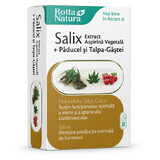 Salix extract with hawthorn and goosefoot, 30 capsules, Rotta Natura