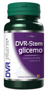 DVR-Stem Glicemo, 60 capsule, DVR Pharm