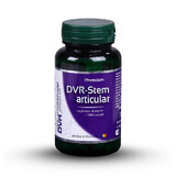 DVR-Stem articolare, 60 capsule, Dvr Pharm