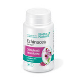 Echinacea extract, 30 capsule, Rotta Natura