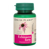 Echinacea forte, 60 compresse, Pianta Dacia