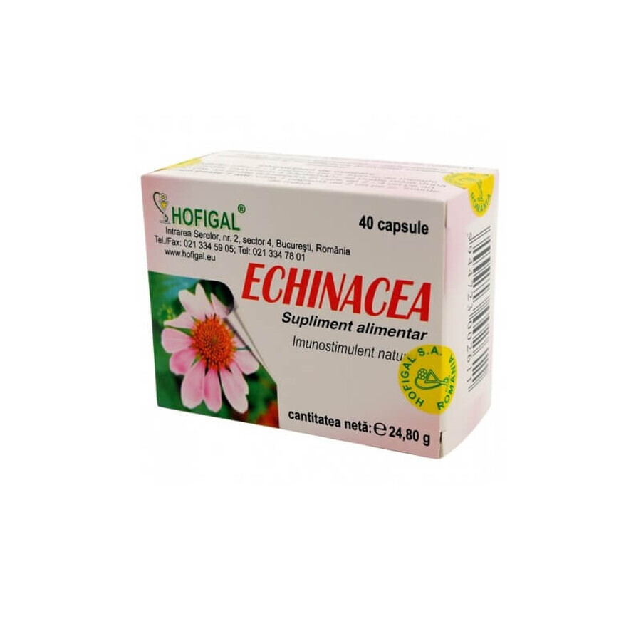 Echinacea, 40 gélules, Hofigal