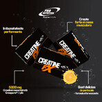 Creatine FX with orange flavour, 10 g x 25 sachets, Pro Nutrition