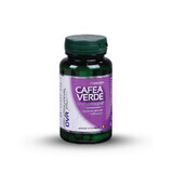 Groene koffie, 60 capsules, DVR Pharm