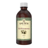 Echinacea-Sirup, 500 ml, Faunus