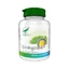 Ginkgobil, 100 capsules, Pro Natura