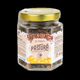 Pasture, 100 g, Apisrom