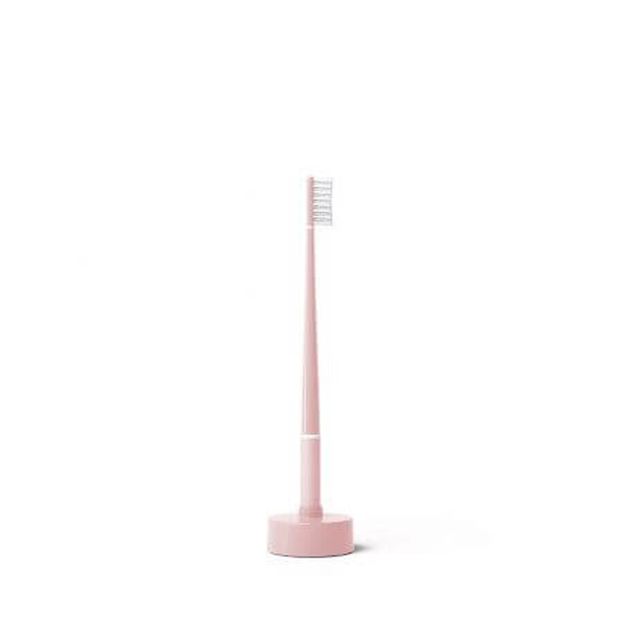 Toothbrush Echinacea + Pink calander base, Feather