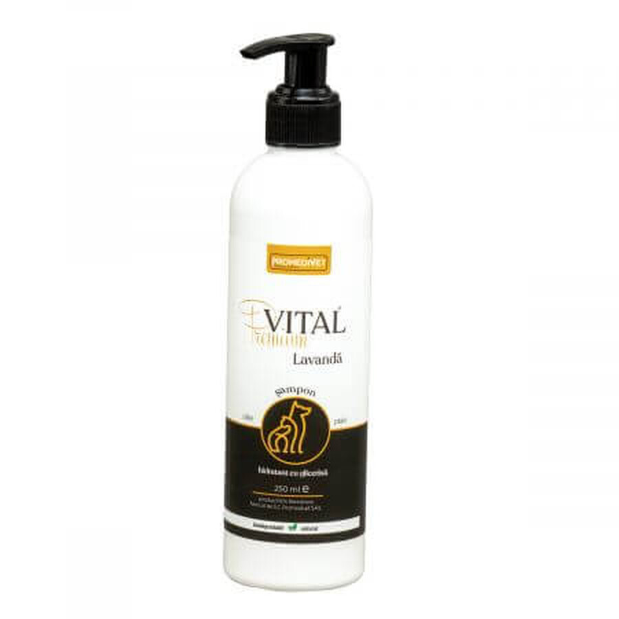 Premium-Vital Lavender shampoo, 250 ml, Promedivet