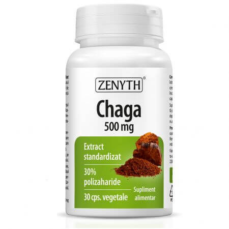 Chaga-Extrakt, 30 Kapseln, Zenyth