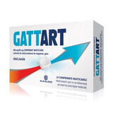 Gattart, 680 mg / 80 mg, 24 kauwtabletten, Alkaloïde