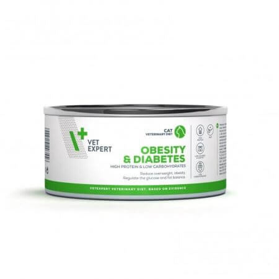 Comida para gatos con obesidad y diabetes, 100 g, Vetexpert