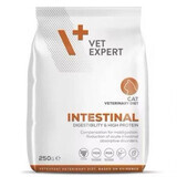 Droog kattenvoer 4T Intestinal Cat, 250 g, VetExpert