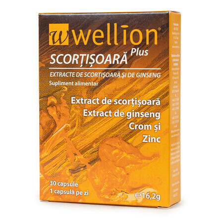 Zimt und Ginseng Extrakt Wellion, 30 Kapseln, Med Trust