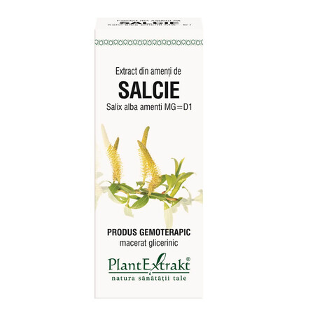 Extrait de saule salix, 50 ml, Plant Extrakt