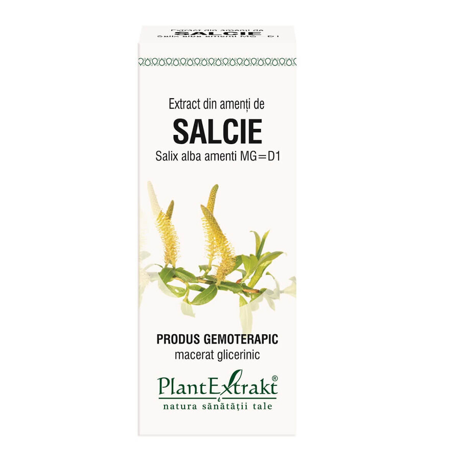 Extrait de saule salix, 50 ml, Plant Extrakt