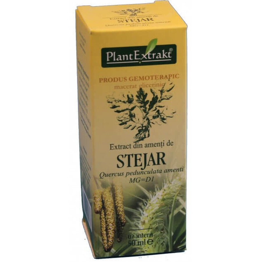 Extract din amenti de stejar, 50 ml, Plant Extrakt