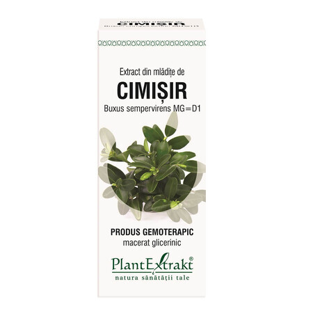 Extract din mlădițe de Cimişir, 50 ml, Plant Extrakt