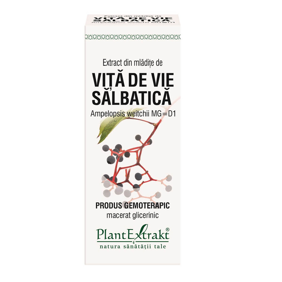 Extract van wilde druivenranken, 50 ml, Extrakt Plant