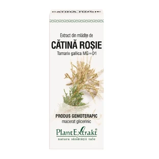Extract of Red Catena buds, Tamarix, 50 ml, Plant Extrakt