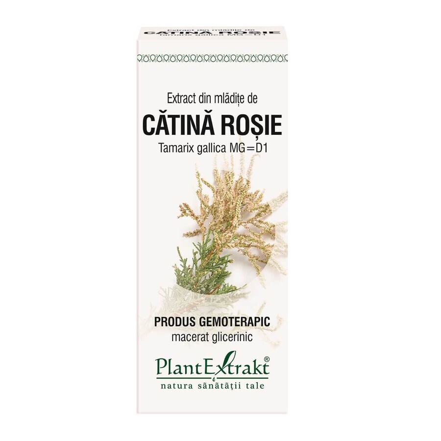 Extrait de bourgeons de Catena rouge, Tamarix, 50 ml, Plant Extrakt