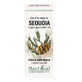 Sequoia knop extract, 50 ml, Plantenextrakt