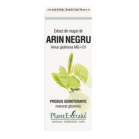 Extrait de bourgeon d'érable noir, 50 ml, Plant Extrakt