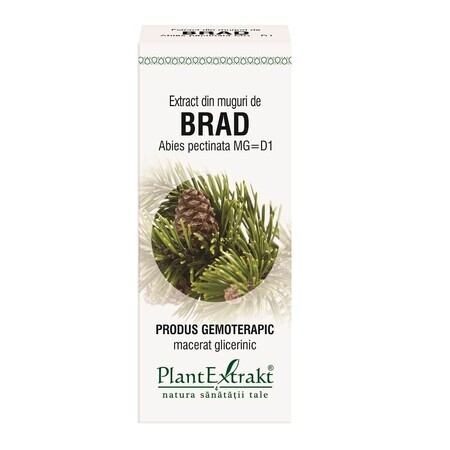 Extract din muguri de Brad, 50 ml, Plant Extrakt