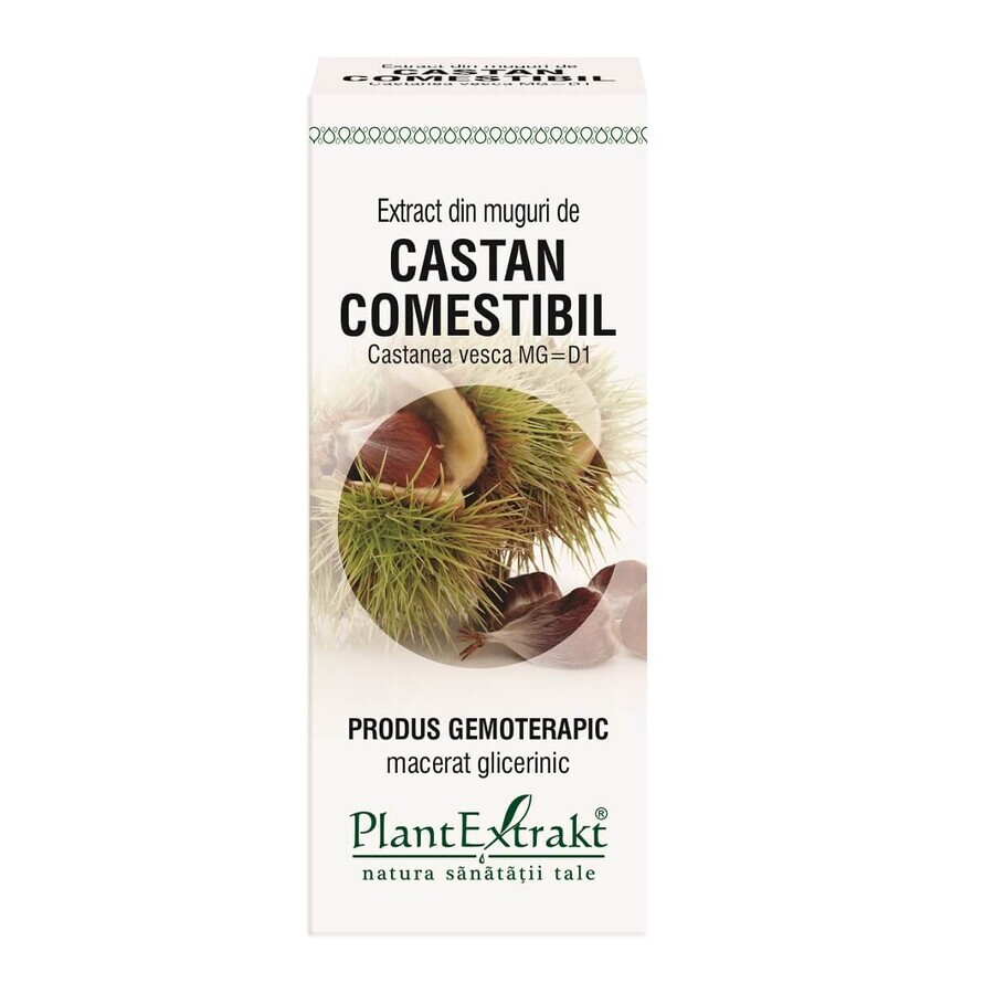 Extrait de bourgeon de châtaignier, 50 ml, Plant Extrakt