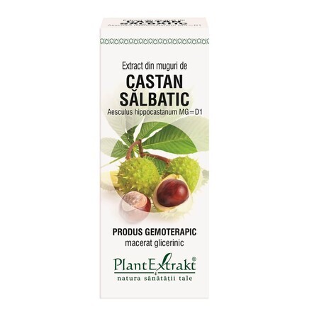 Extract din muguri de Castan sălbatic, 50 ml, Plant Extrakt