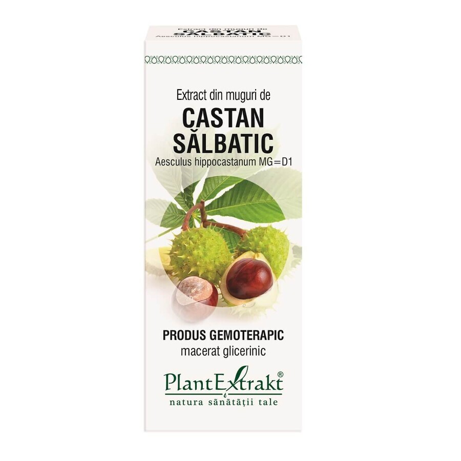 Extract din muguri de Castan sălbatic, 50 ml, Plant Extrakt