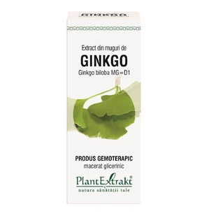 Ginkgo Biloba knop extract, 50 ml, Plantenextrakt