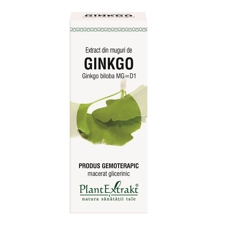 Ginkgo Biloba knop extract, 50 ml, Plantenextrakt