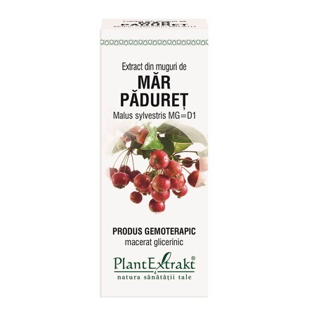 Extrait de bourgeons de pommier de groseille, 50 ml, Plant Extrakt