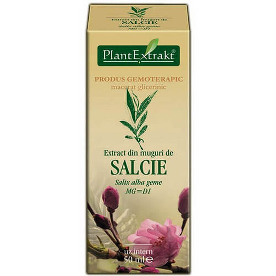 Extrait de bourgeon de saule, 50 ml, Plant Extrakt