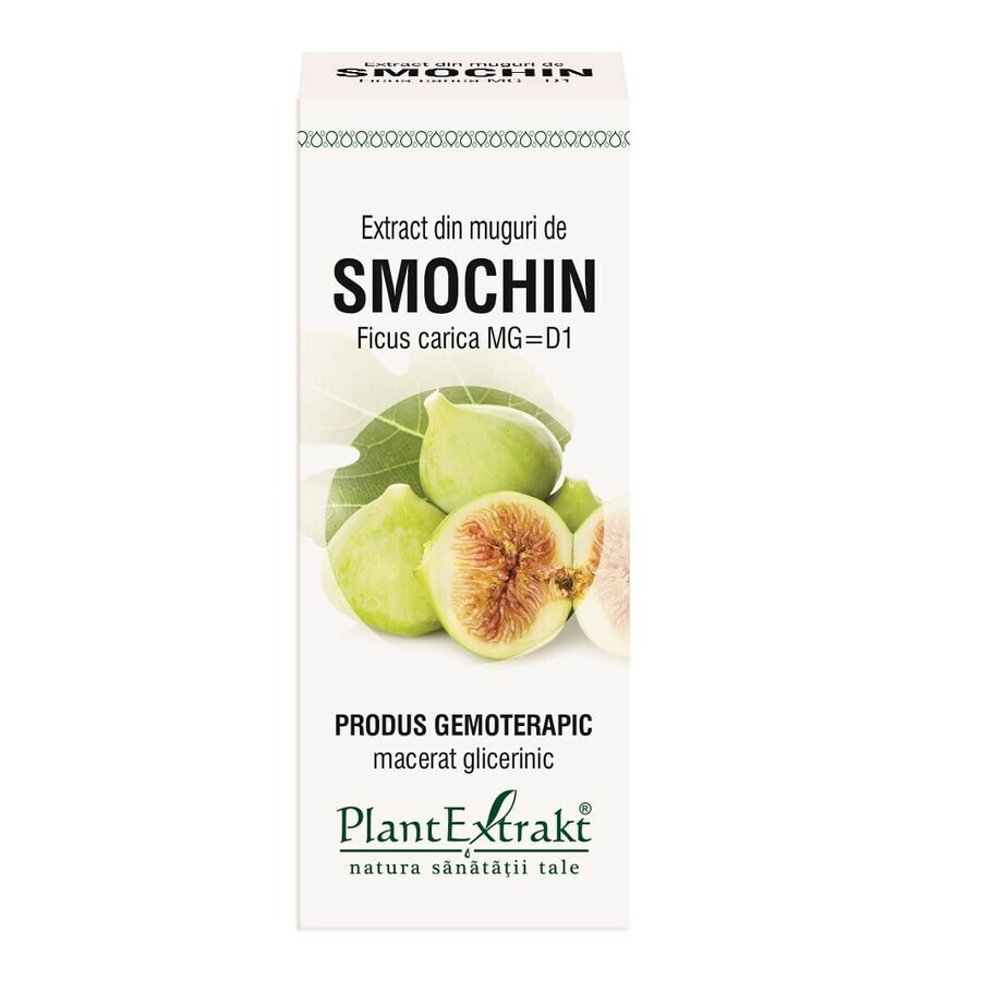 Extract din muguri de Smochin, 50 ml, Plant Extrakt