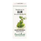 Ulmknop-extract, 50 ml, Plantenextrakt