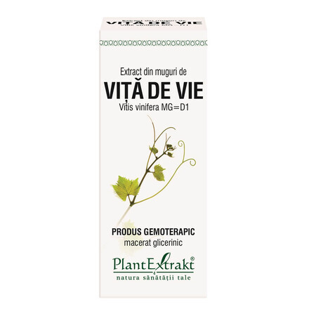 Extract din muguri de Viță de Vie, 50 ml, Plant Extrakt